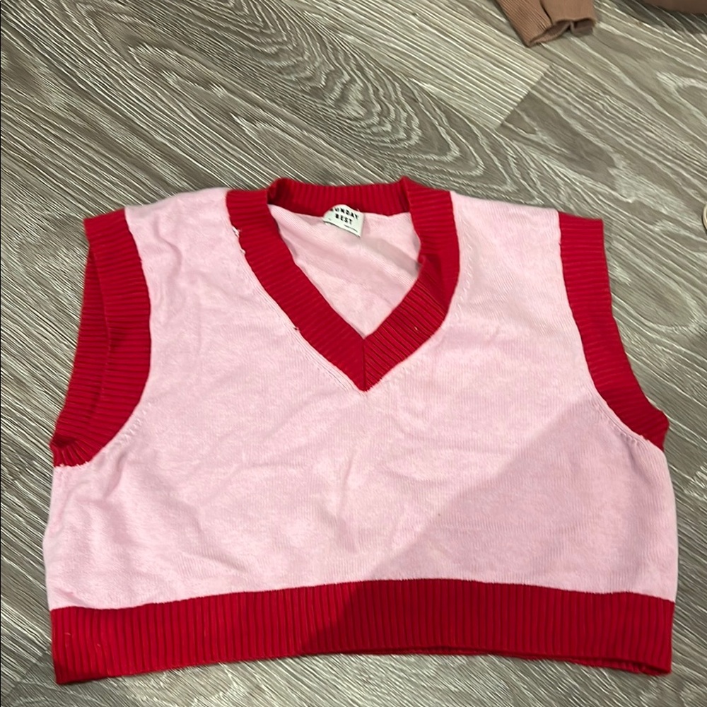 Ariztia pink and red vest